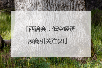 西洽会：低空经济展商引关注(2)